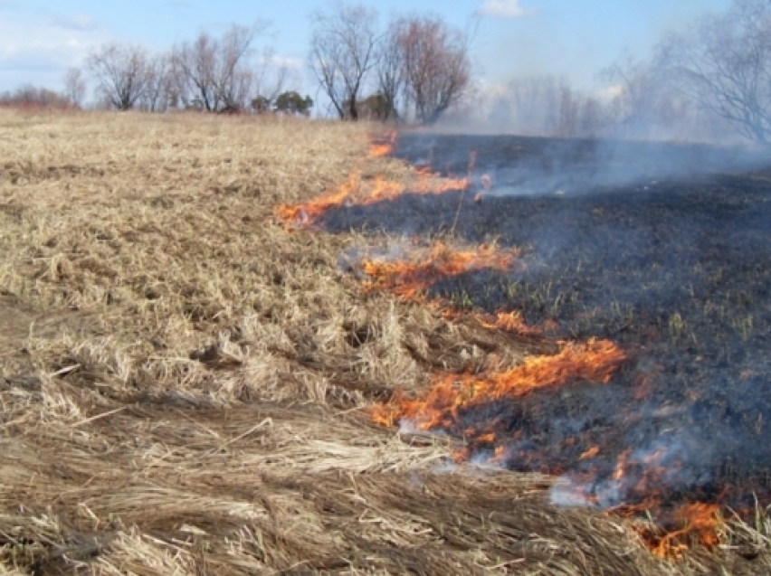 Минприроды Забайкалья: Штрафы грозят поджигателям сухой травы