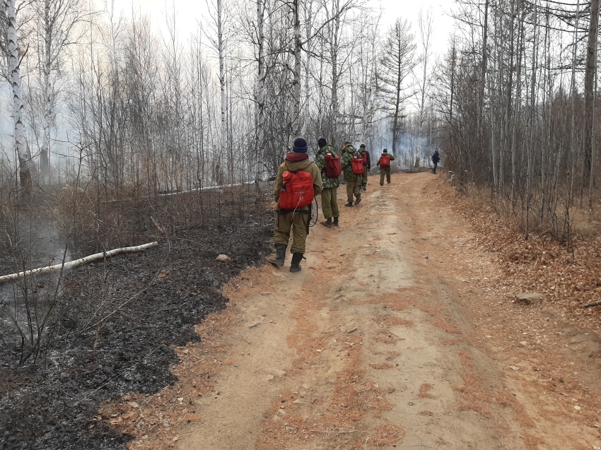 ​Лесопожарные формирования продолжают борьбу с лесными пожарами на территории края