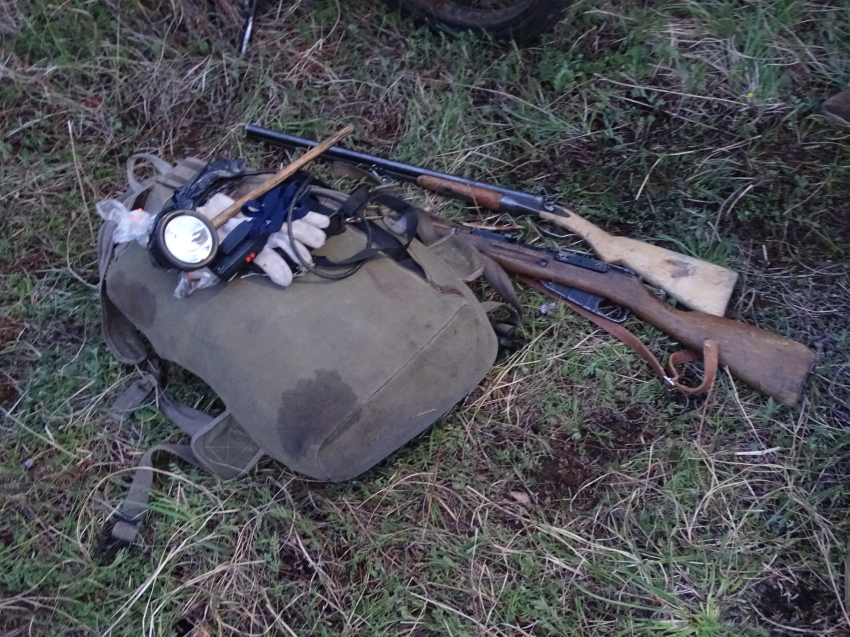 В Акшинском районе в конце мая задержали браконьеров, застреливших самку изюбра и косулю