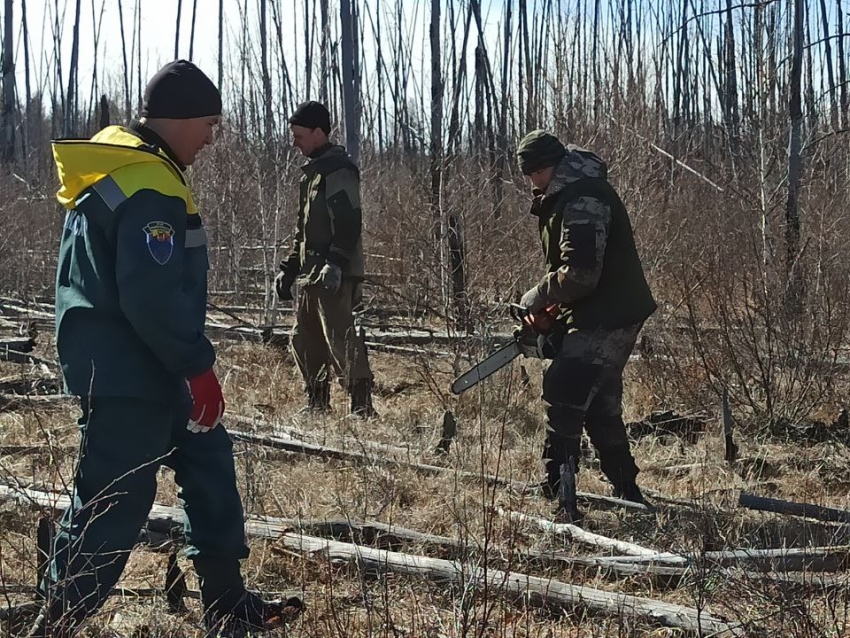 Забайкаллесхоз уберёт 50 гектаров неликвидной древесины для предотвращения лесных пожаров