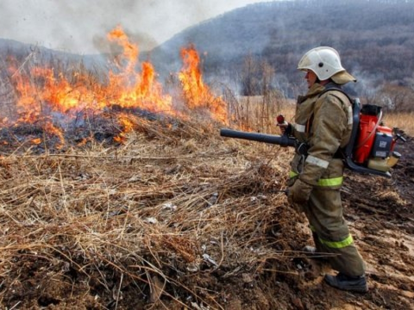 Минприроды: 23 апреля на территории Забайкальского края действуют шесть лесных пожаров