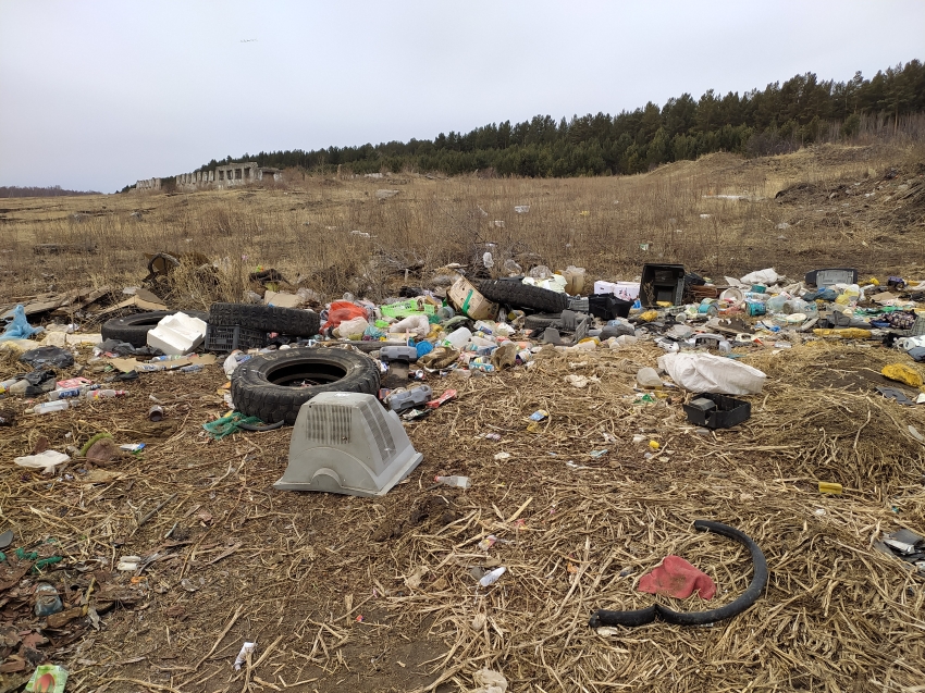 Минприроды края призывает граждан сообщать о случаях несанкционированного выброса мусора
