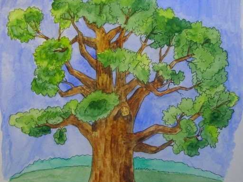 Маленькие забайкальцы могут до 31 мая отправить свои рисунки на конкурс «Лес – наш главный интерес»