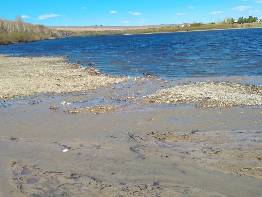 Инспекторы регионального Минприроды установили причину загрязнения реки Нерча 