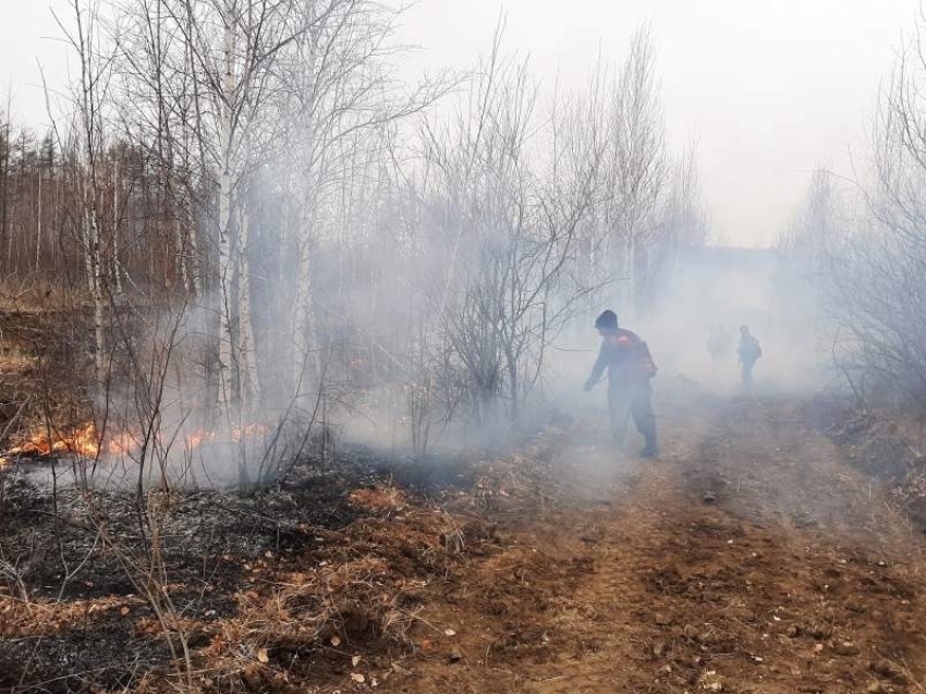 Пять лесных пожаров локализовали за последние сутки в Забайкалье