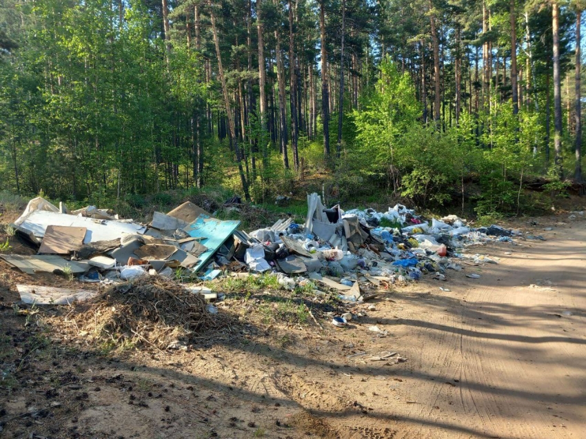 Читинцу назначен штраф в 60 тысяч рублей за выгрузку мусора в неположенном месте