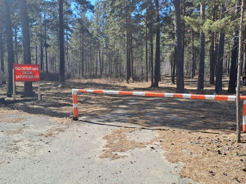 Три лесных пожара локализовано в Забайкалье