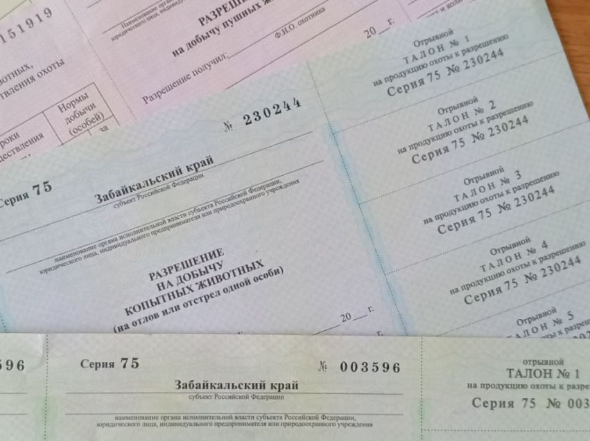 Новый порядок выдачи разрешений на добычу охотничьих ресурсов будет действовать с 1 сентября