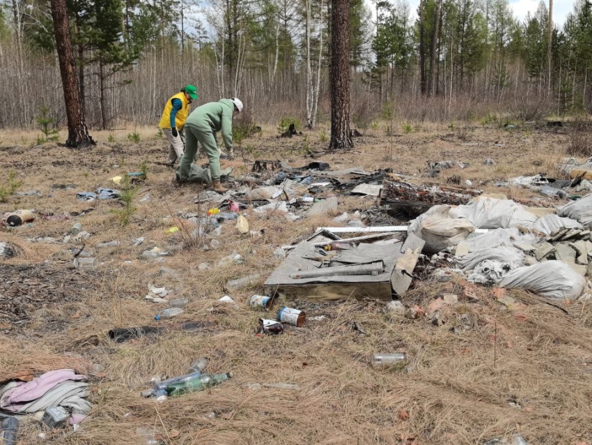 Владельцы дачных участков убрали почти 70 кубов мусора в лесу возле Смоленки