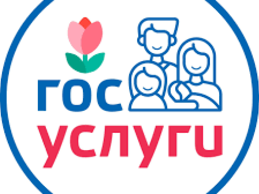 Министерство природных ресурсов Забайкальского края напоминает о получении услуг на Госуслуги