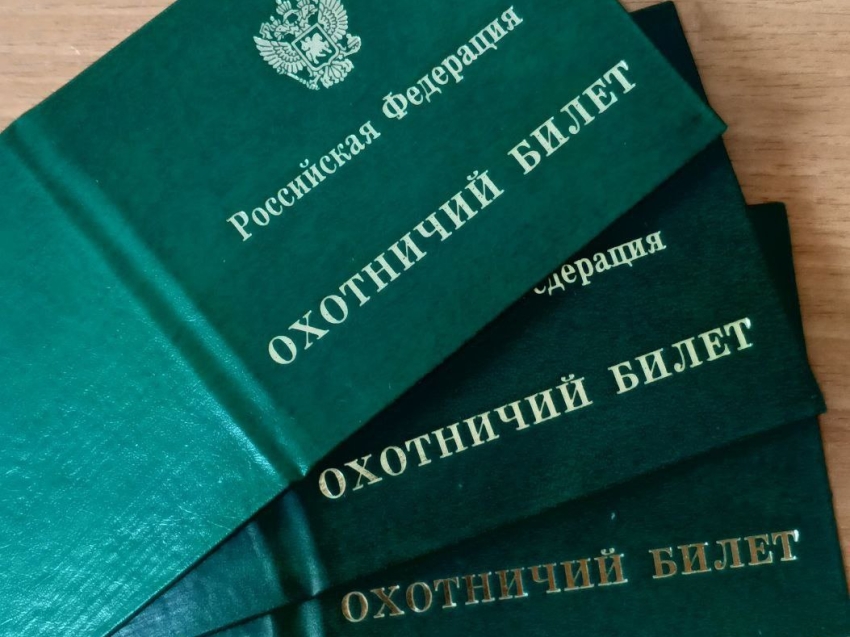 В региональном Минприроды проверили знания будущих охотников
