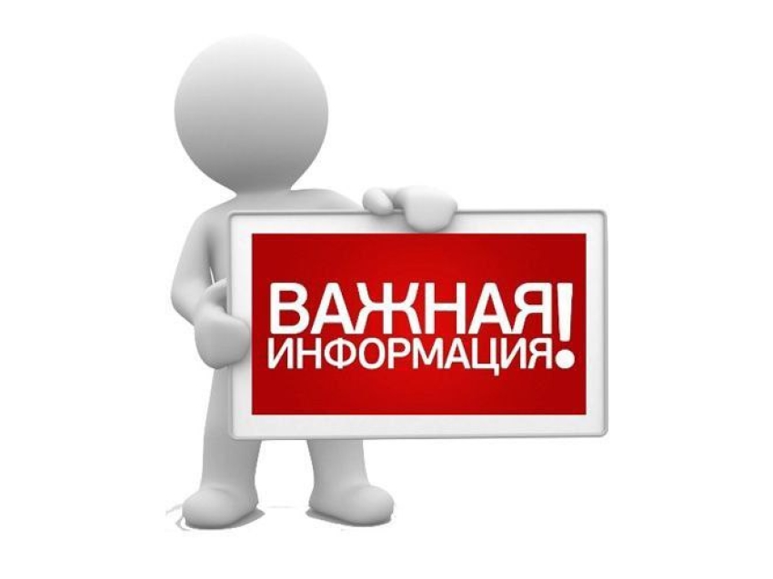 Минприроды проводит аукцион на право заключения договора купли-продажи лесных насаждений