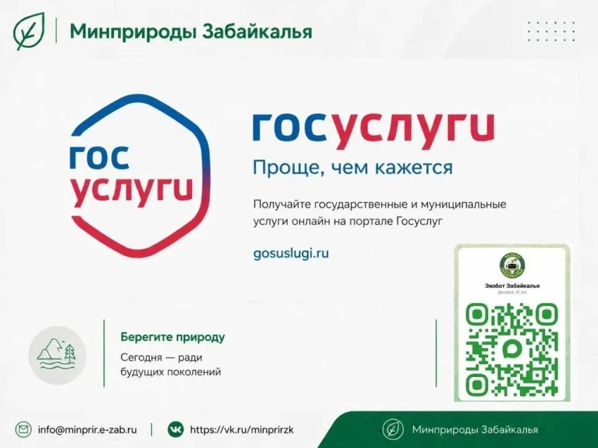 Забайкальцы могут получить государственные услуги в электронном виде на портале Госуслуги