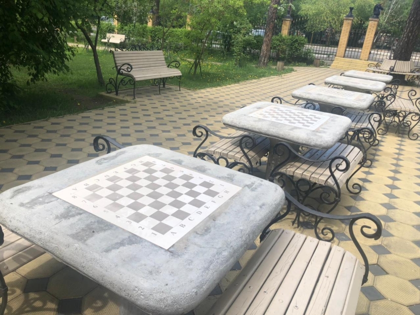 Летний проект по шахматам запустят в Чите