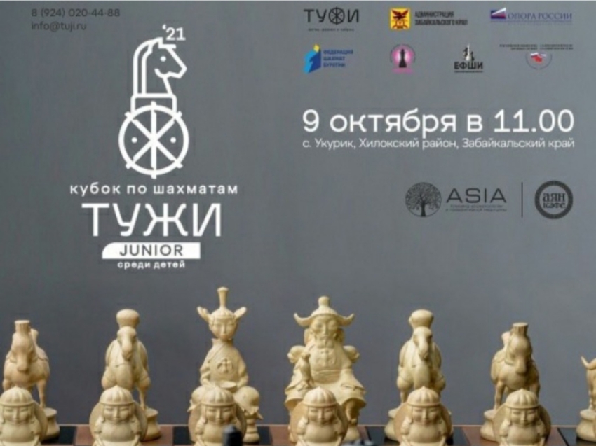 Четырнадцать Забайкальских шахматистов сразятся в шахматы за «Кубок Тужи 2021» в селе Укурик