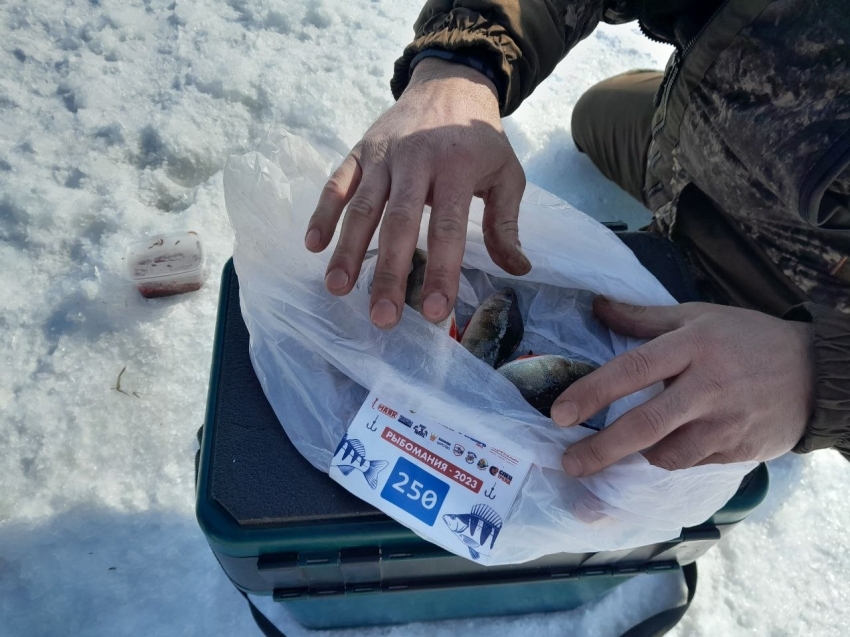 «Рыбомания – 2023» (6+): На льду Шакши встретились участники 253 команд