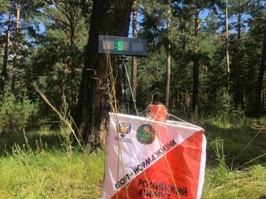 Бесплатная тренировка по спортивному ориентированию пройдет в лесном массиве Читы 