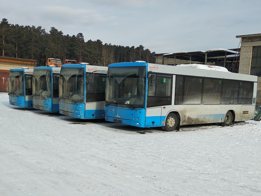 Больше половины из приобретенных в 2020 году для Читы автобусов прибыли в региональную столицу