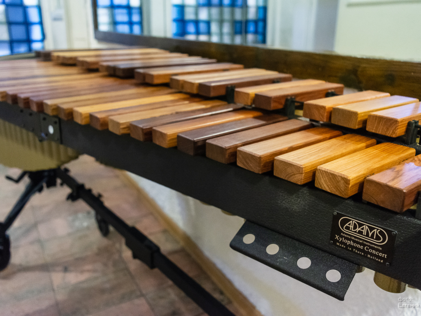 ДШИ Забайкалья обновят музыкальные инструменты на 36 миллионов рублей в 2022 году