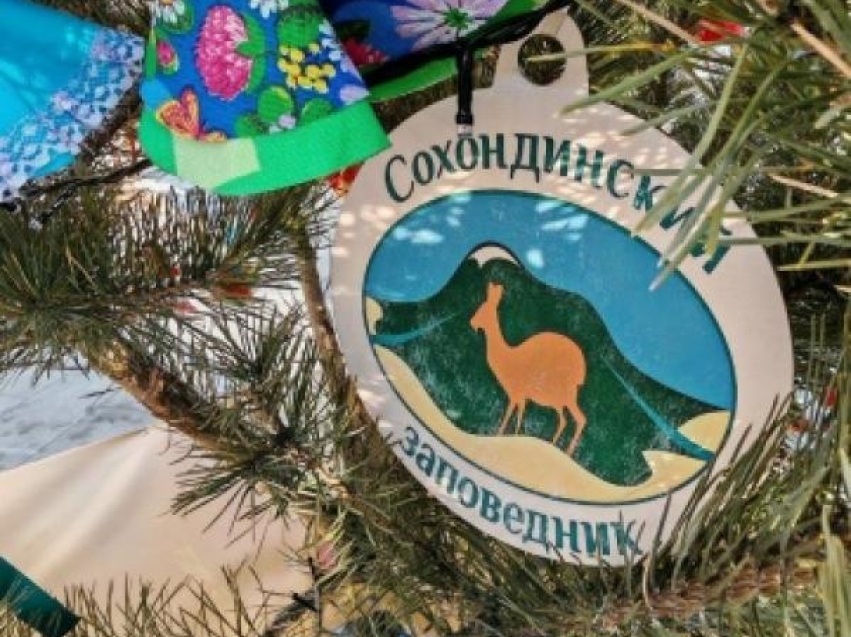 Кыринский округ победил в народном голосовании за лучшую ёлку Забайкалья