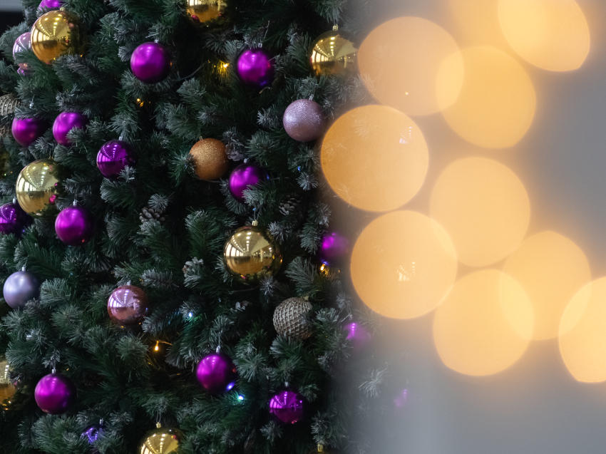 Новогодние праздники с призами. Акция «Культпоход» продолжится в учреждениях культуры края до 12 января