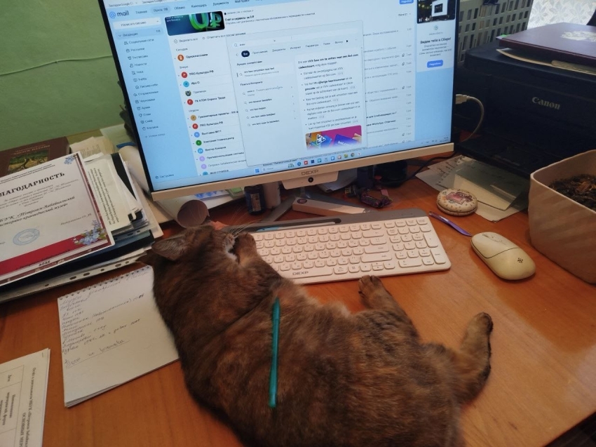 Кошка Маша попыталась украсть чучело тетерева в музее Забайкалья