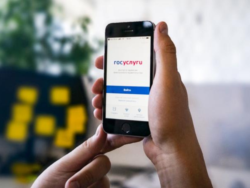 План для ленивых: какие госуслуги культуры вы можете получить, не выходя из дома?