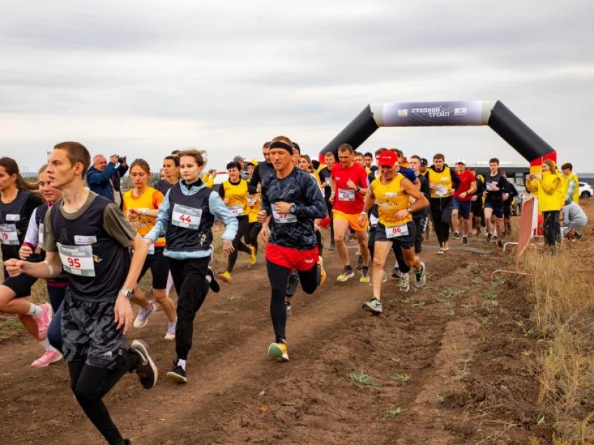 Утренний забег и занятия по йоге проведут на фестивале «Степь» в Александровке