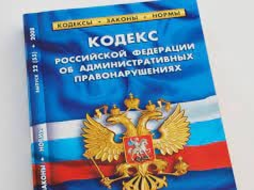 Деятельность по административным правонарушениям