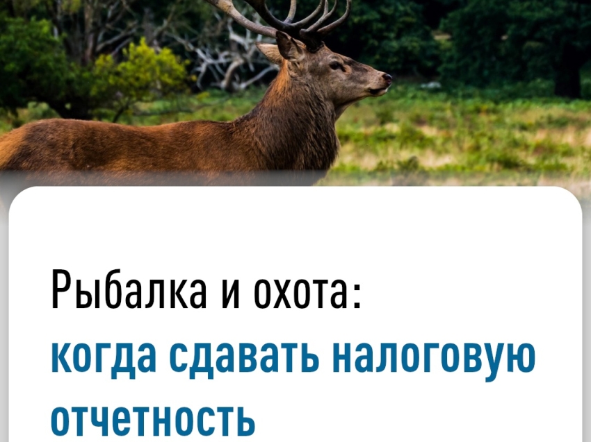 УФНС России по Забайкальскому краю информирует