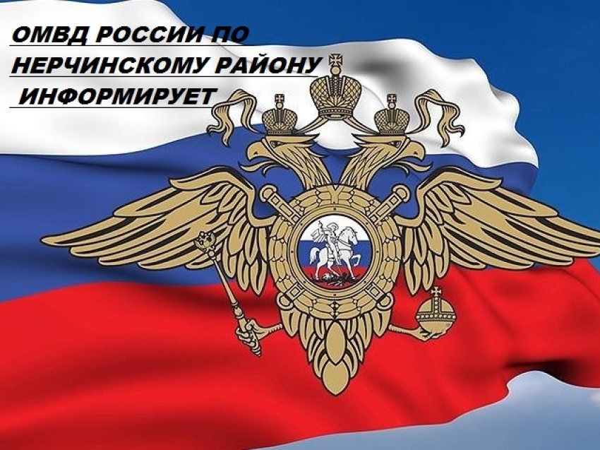 Картинки внутренних дел. Символика МВД России. ОВД России. Эмблема ОВД. Органы внутренних дел России.