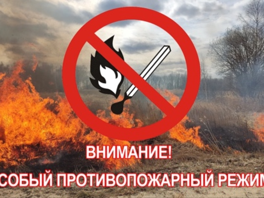 На территории Нерчинского муниципального округа Забайкальского края действует особый противопожарный режим