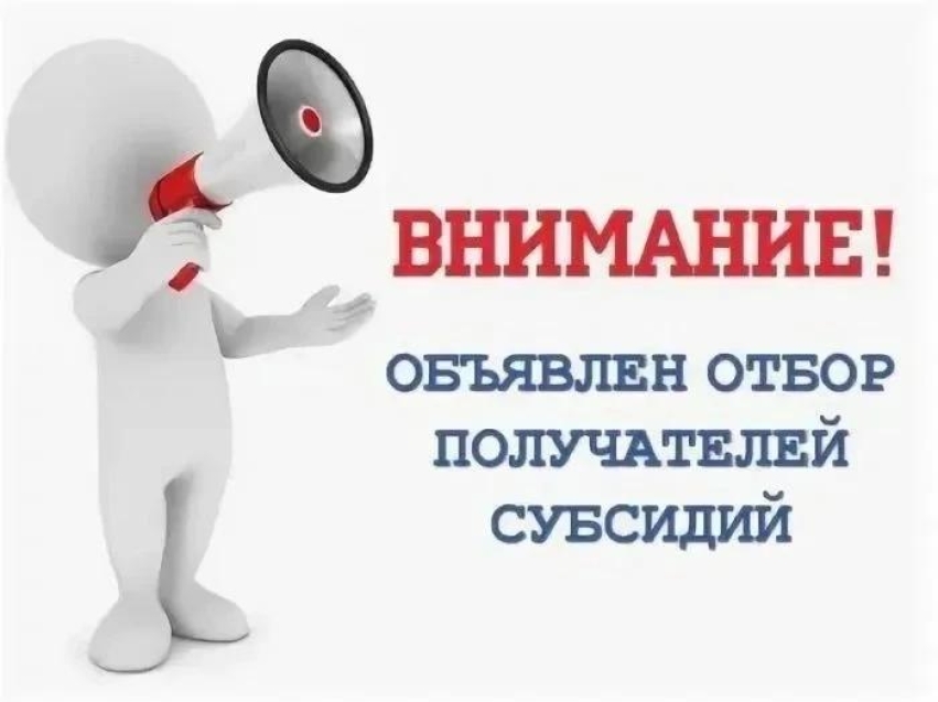 Предоставление субсидии из бюджета Забайкальского края субъектам малого и среднего предпринимательства, являющимся участниками специальной военной операции