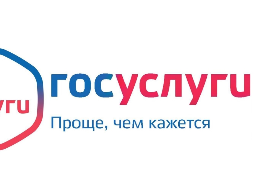 Государственные и муниципальные услуги, не выходя из дома