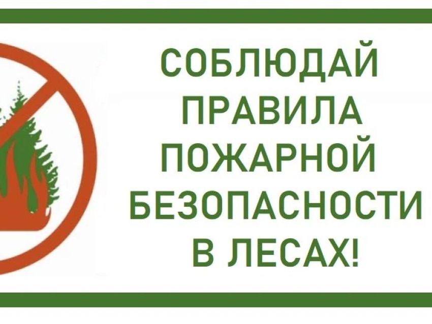 О соблюдении законодательства о пожарной безопасности в лесах и ответственности за возникновение природных пожаров 