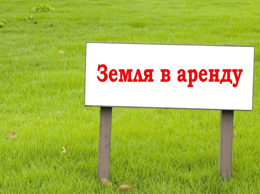 	Комитет по управлению муниципальным имуществом администрации муниципального района «Оловяннинский район» сдаёт в аренду земельный участок