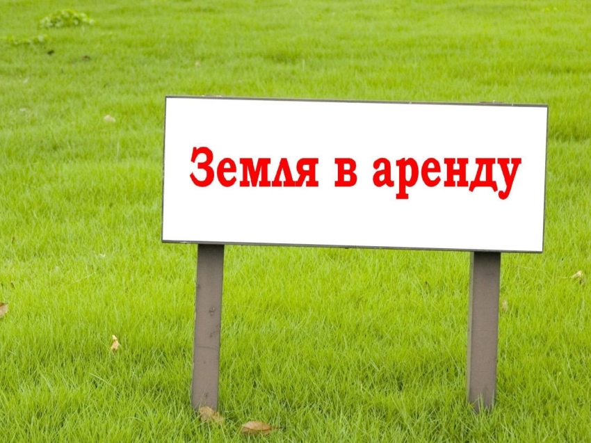 Комитет по управлению муниципальным имуществом администрации муниципального района «Оловяннинский район» сдаёт в аренду земельный участок