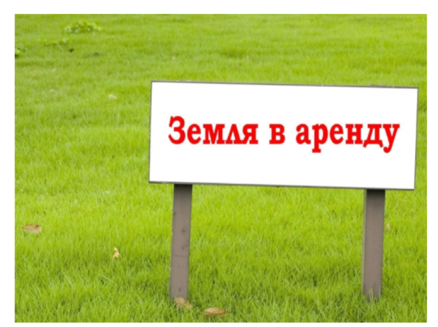 ​Комитет по управлению муниципальным имуществом администрации муниципального района «Оловяннинский район» сдаёт в аренду земельный участок