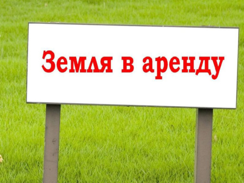 Комитет по управлению муниципальным имуществом администрации муниципального района «Оловяннинский район» сдаёт в аренду земельный участок