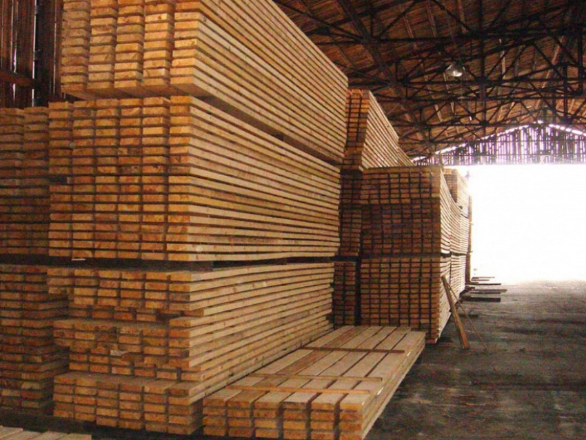 Вниманию лесозаготовителей: с 2022 года устанавливаются требования к размещению и характеристикам складов древесины