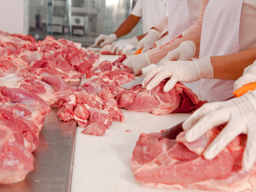 Как получить консультативную помощь по вопросам безопасности технологических процессов при производстве мясной продукции