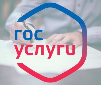 Цифровые сервисы для избирателей станут доступны на портале госуслуг уже в 2019 году