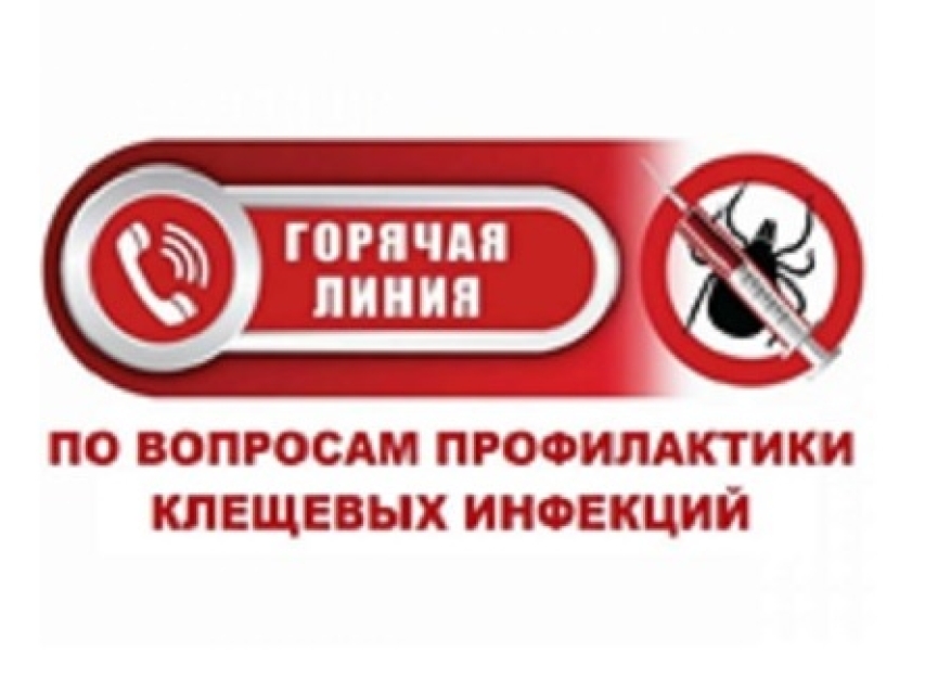 Официальный сайт Администрации Петровск-Забайкальского района | «Горячая  линия» по профилактике инфекционных заболеваний, передающихся через укусы  клещей