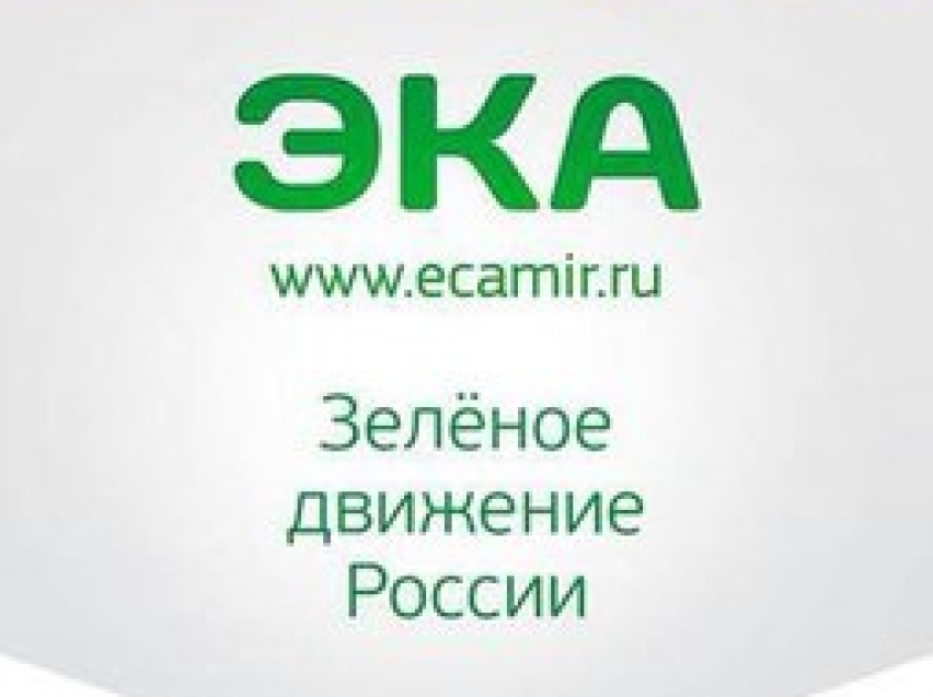Эка полное имя. Эка. Движение Эка. Конкурс экодвор. Движение Эка реклама