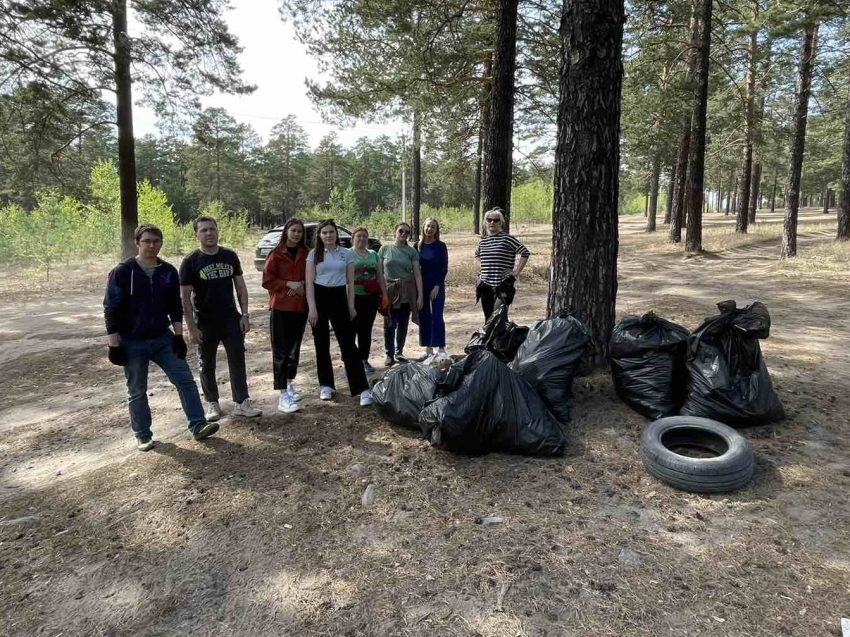 Сотрудники РСТ Zабайкалья и ГКУ «Центр экспертиз»  провели уборку леса ко Дню города