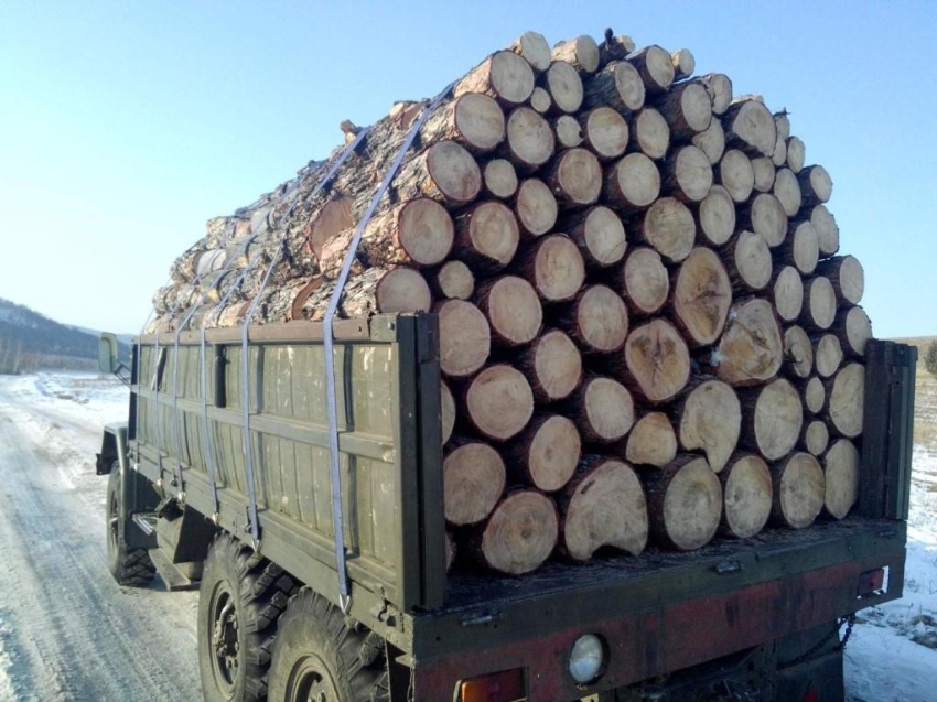 В Zабайкалье утверждены максимально допустимые цены на дрова