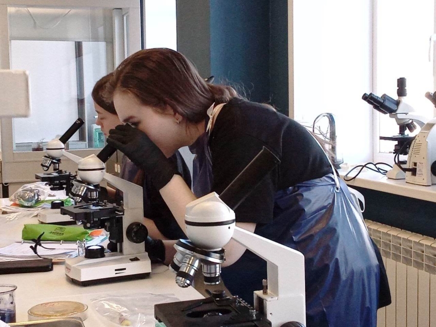 Кокуйская школьница прошла отбор в «Сириус» для участия в образовательной программе по биологии