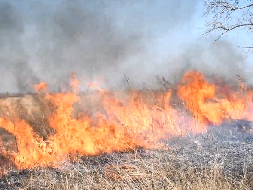 Жительница Сретенского района сообщила о поджоге травы
