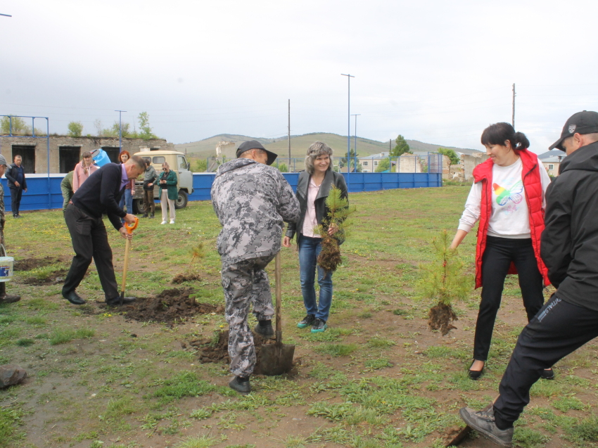 «Посади дерево»: участники акции в Сретенском районе высадили около двух тысяч деревьев