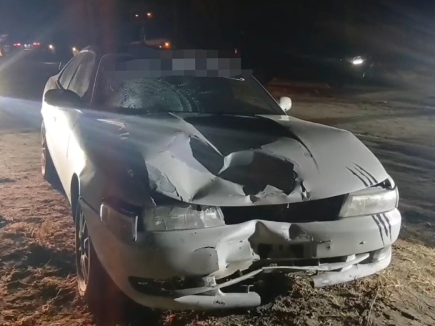 В Борзе в результате ДТП погибли женщина и двухлетняя девочка